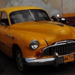Los viejos carros perennes